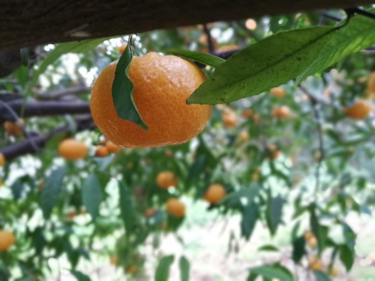 Vila La Dimora Del Decano Scicli Exteriér fotografie